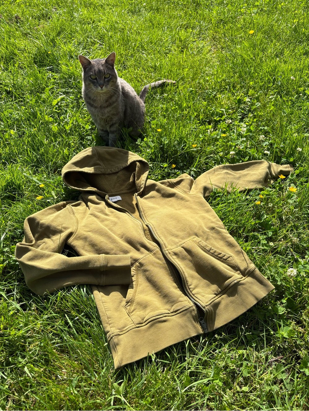Pact Olive Green Zip-Up Hoodie